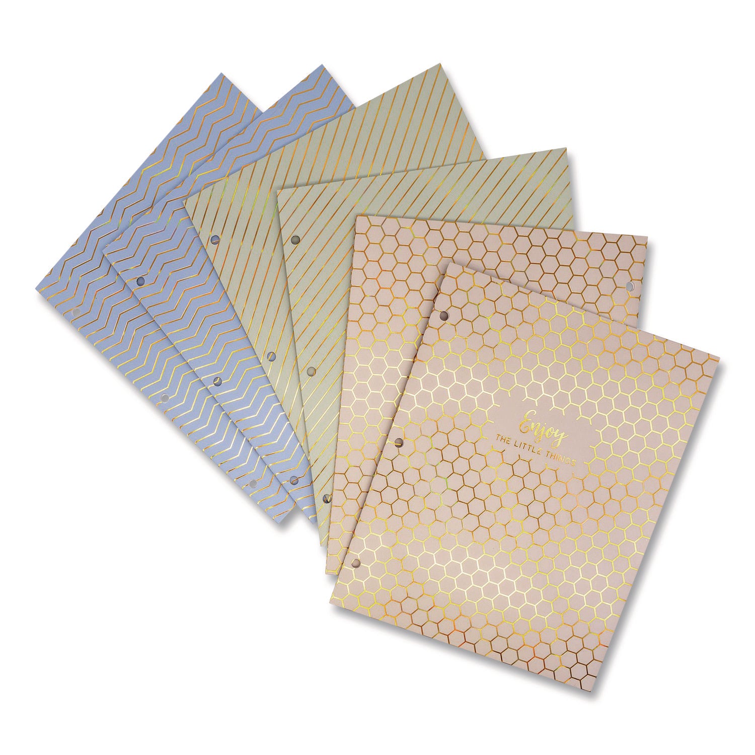 PUKKA PAD Two-Pocket Portfolio Folder, 1" Capacity, 9.6 x 11.9, Haze, Blue/Green/Taupe, 6/Pack (9980ASTHZE)